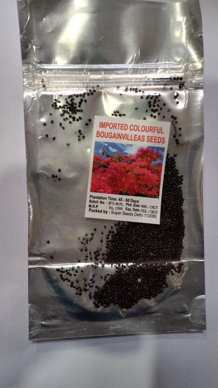 Mix Colour Bougainvillea Flower Seeds
